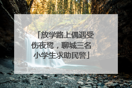 放学路上偶遇受伤夜鹭，聊城三名小学生求助民警