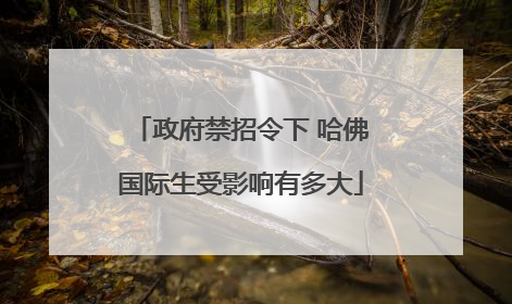 政府禁招令下 哈佛国际生受影响有多大