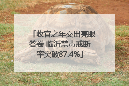 收官之年交出亮眼答卷 临沂禁毒戒断率突破87.4%