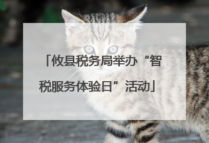 攸县税务局举办“智税服务体验日”活动