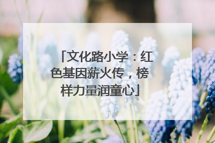 文化路小学：红色基因薪火传，榜样力量润童心