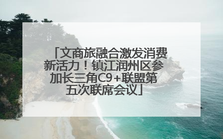 文商旅融合激发消费新活力！镇江润州区参加长三角C9+联盟第五次联席会议