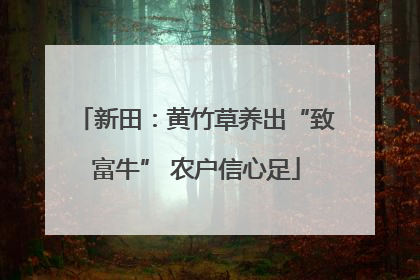 新田：黄竹草养出“致富牛” 农户信心足