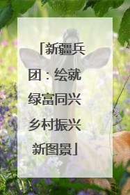 新疆兵团：绘就绿富同兴乡村振兴新图景