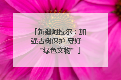 新疆阿拉尔：加强古树保护 守好“绿色文物”