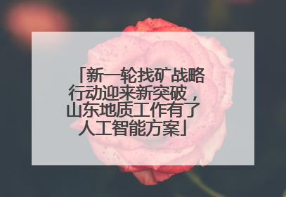 新一轮找矿战略行动迎来新突破，山东地质工作有了人工智能方案