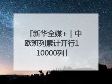 新华全媒+｜中欧班列累计开行110000列
