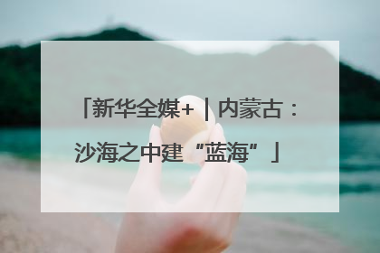新华全媒+｜内蒙古：沙海之中建“蓝海”