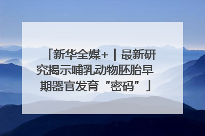 新华全媒+｜最新研究揭示哺乳动物胚胎早期器官发育“密码”