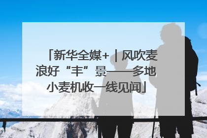 新华全媒+｜风吹麦浪好“丰”景——多地小麦机收一线见闻