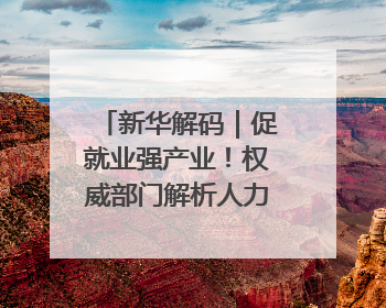 新华解码｜促就业强产业！权威部门解析人力资源服务业与制造业融合发展试点