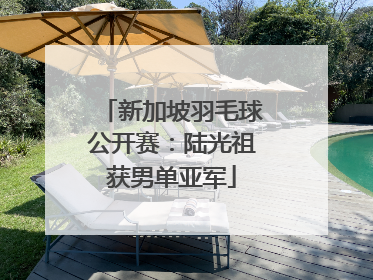 新加坡羽毛球公开赛：陆光祖获男单亚军