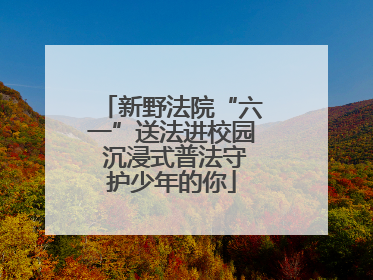 新野法院“六一”送法进校园 沉浸式普法守护少年的你