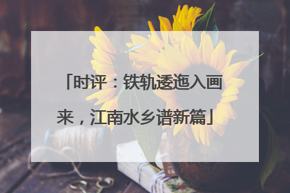时评：铁轨逶迤入画来，江南水乡谱新篇
