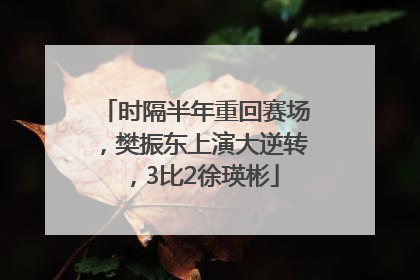 时隔半年重回赛场，樊振东上演大逆转，3比2徐瑛彬