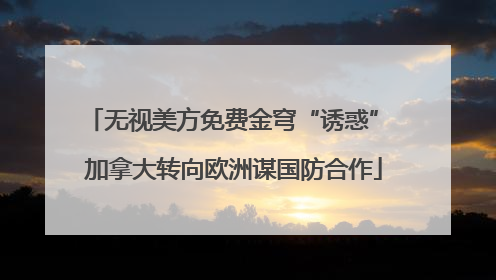 无视美方免费金穹“诱惑” 加拿大转向欧洲谋国防合作