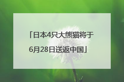 日本4只大熊猫将于6月28日送返中国