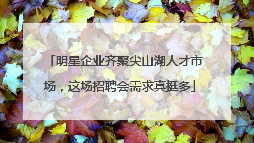 明星企业齐聚尖山湖人才市场，这场招聘会需求真挺多