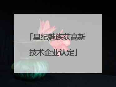 星纪魅族获高新技术企业认定