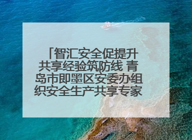 智汇安全促提升 共享经验筑防线 青岛市即墨区安委办组织安全生产共享专家现场观摩学习活动