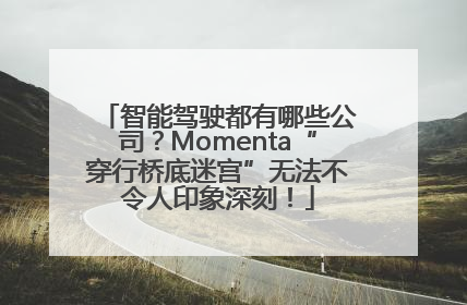 智能驾驶都有哪些公司？Momenta“穿行桥底迷宫”无法不令人印象深刻！