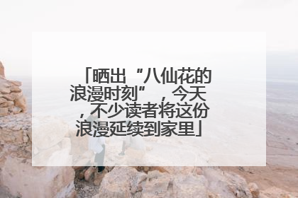 晒出“八仙花的浪漫时刻”，今天，不少读者将这份浪漫延续到家里