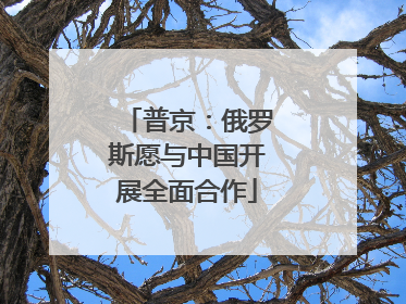 普京：俄罗斯愿与中国开展全面合作