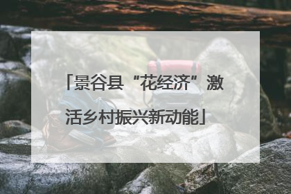 景谷县“花经济”激活乡村振兴新动能