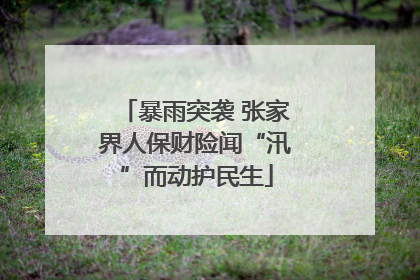 暴雨突袭 张家界人保财险闻“汛”而动护民生