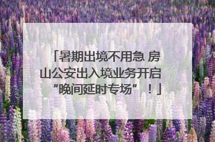 暑期出境不用急 房山公安出入境业务开启“晚间延时专场”！