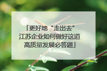 更好地“走出去” 江苏企业如何做好这道高质量发展必答题