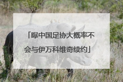 曝中国足协大概率不会与伊万科维奇续约
