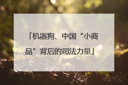 机器狗、中国“小商品”背后的司法力量