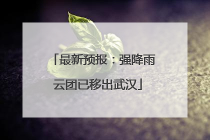 最新预报：强降雨云团已移出武汉