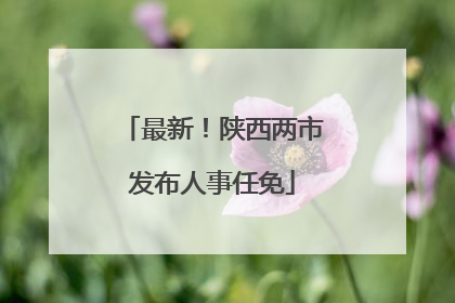 最新！陕西两市发布人事任免