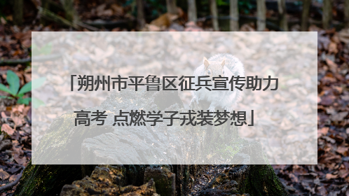 朔州市平鲁区征兵宣传助力高考 点燃学子戎装梦想