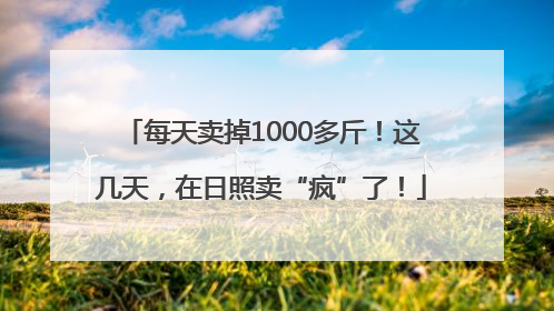 每天卖掉1000多斤！这几天，在日照卖“疯”了！