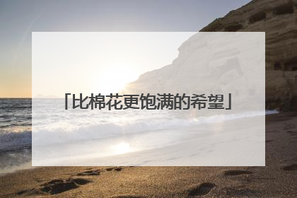 比棉花更饱满的希望