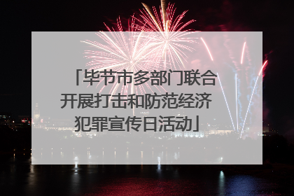 毕节市多部门联合开展打击和防范经济犯罪宣传日活动