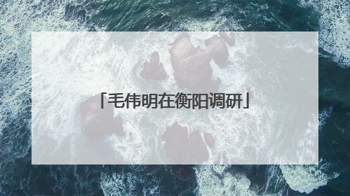毛伟明在衡阳调研