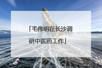 毛伟明在长沙调研中医药工作