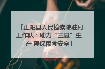 正阳县人民检察院驻村工作队：助力“三夏”生产 确保粮食安全