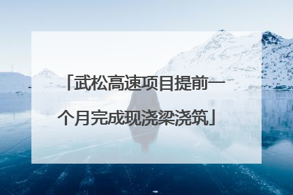 武松高速项目提前一个月完成现浇梁浇筑
