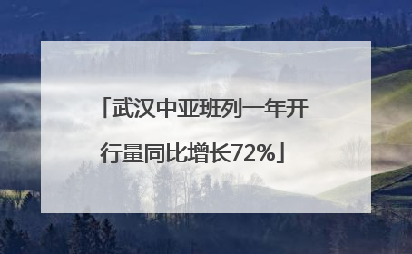 武汉中亚班列一年开行量同比增长72%