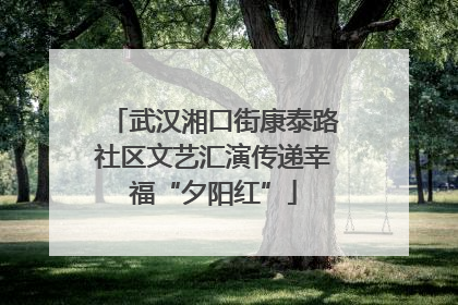 武汉湘口街康泰路社区文艺汇演传递幸福“夕阳红”