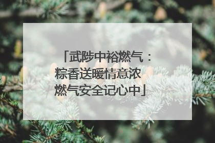 武陟中裕燃气：粽香送暖情意浓 燃气安全记心中