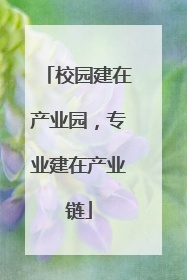校园建在产业园，专业建在产业链