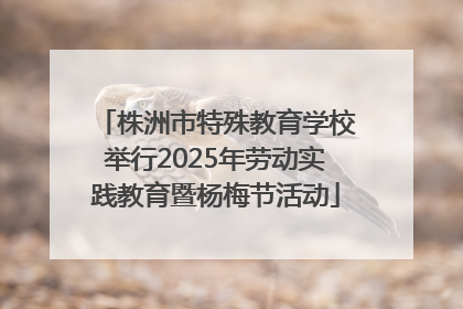 株洲市特殊教育学校举行2025年劳动实践教育暨杨梅节活动