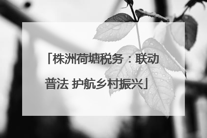 株洲荷塘税务：联动普法 护航乡村振兴