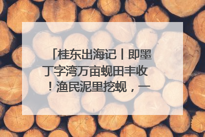 桂东出海记丨即墨丁字湾万亩蚬田丰收！渔民泥里挖蚬，一天上岸过千斤
